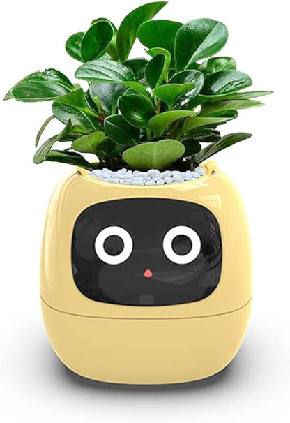 Smart Planter with AI