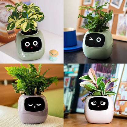 Smart Planter with AI