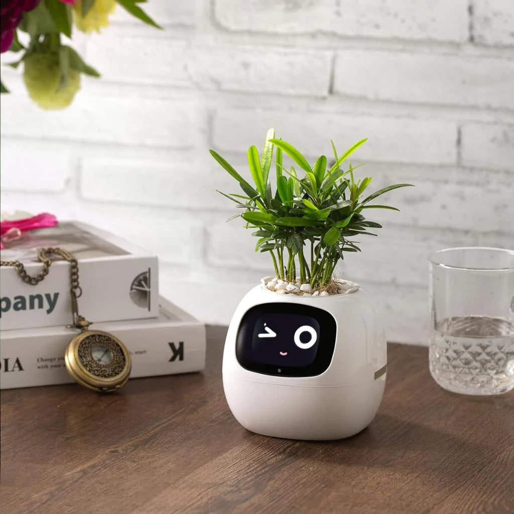 Smart Planter with AI