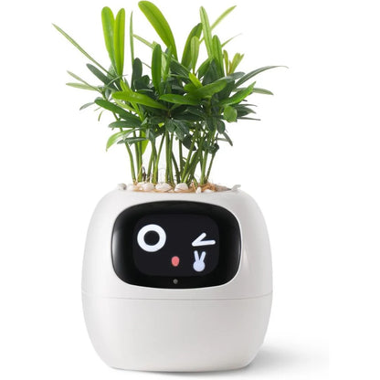 Smart Planter with AI