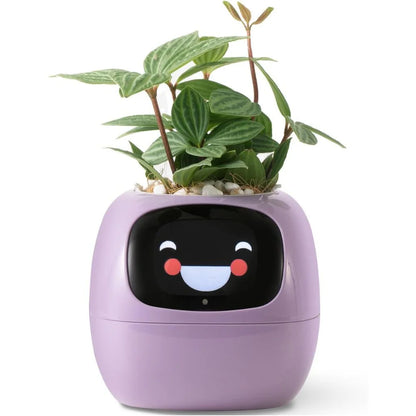 Smart Planter with AI